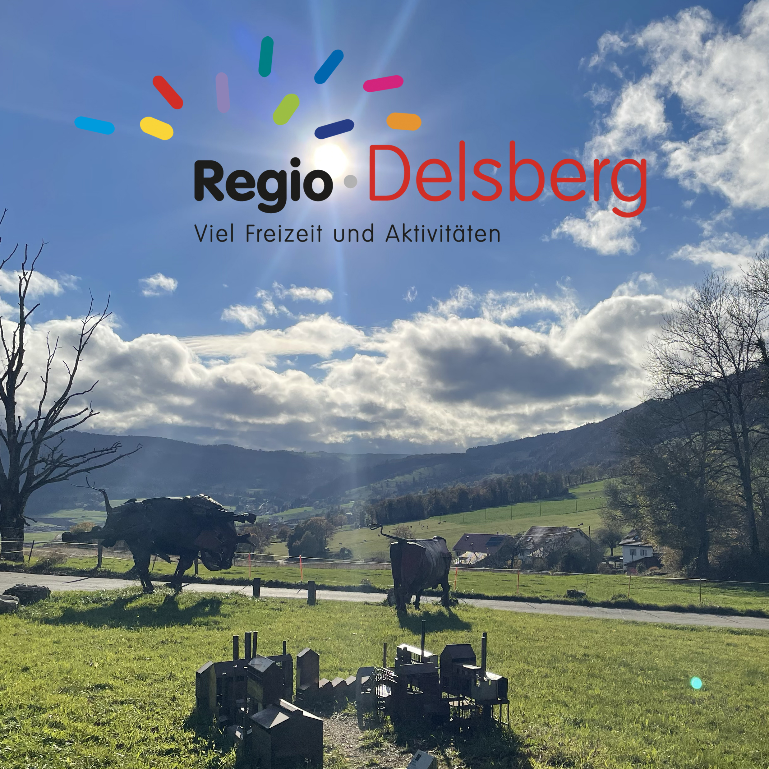 Regio Delsberg